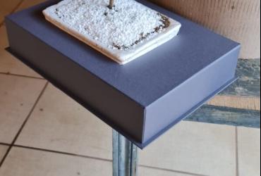 Imagem da galeria de fotos 8397 - Box Design Brindes