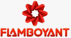 FLAMBOYANT - Box Design Brindes